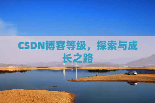 CSDN博客等级，探索与成长之路